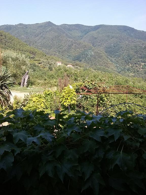 Casa Virgilio Acomodação com café da manhã Fosdinovo Exterior foto